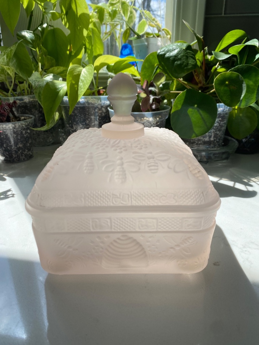 Vintage Indiana Glass Tiara Honey Bee Box Candy Dish - Frosted Pink - Picture 3 of 8